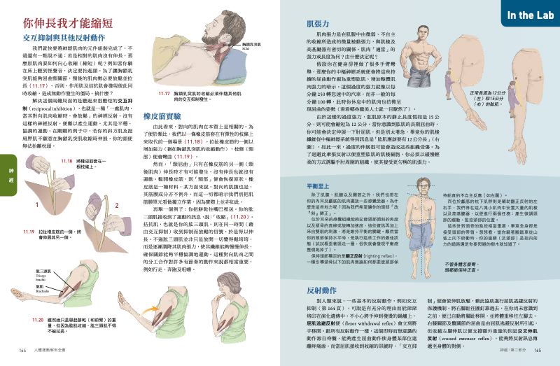 內頁 11