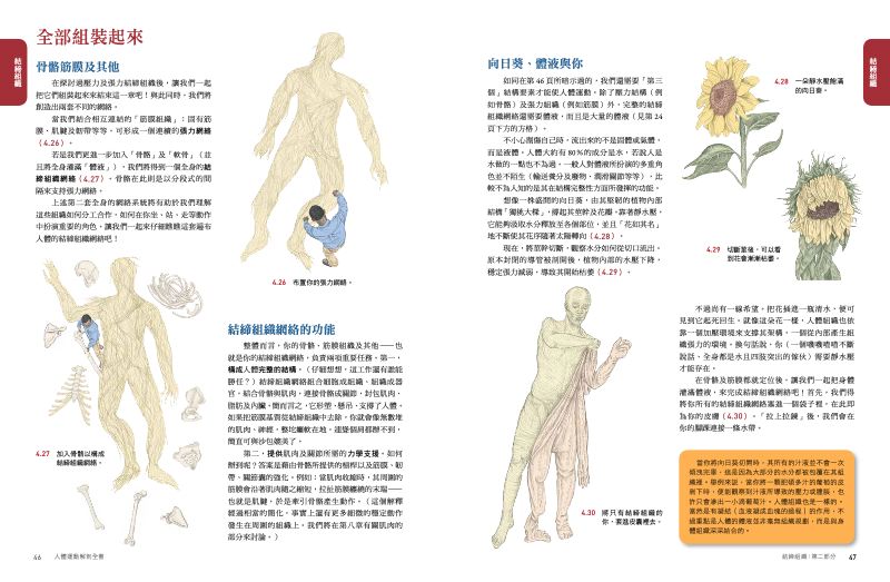 內頁 6