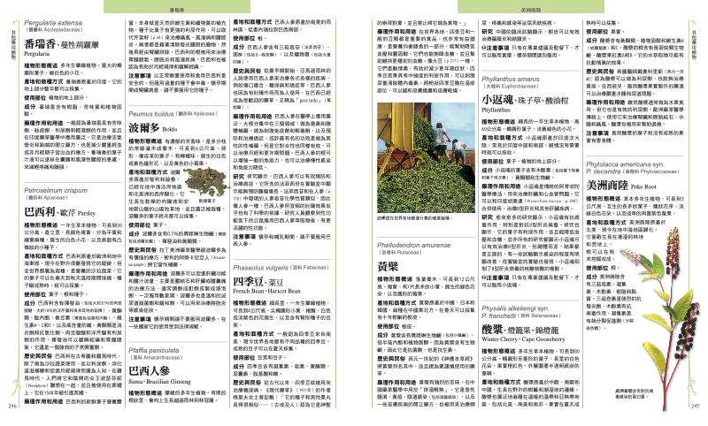 內頁 10