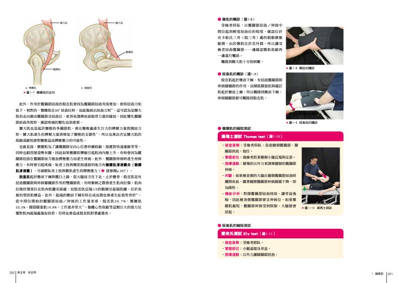 內頁 11