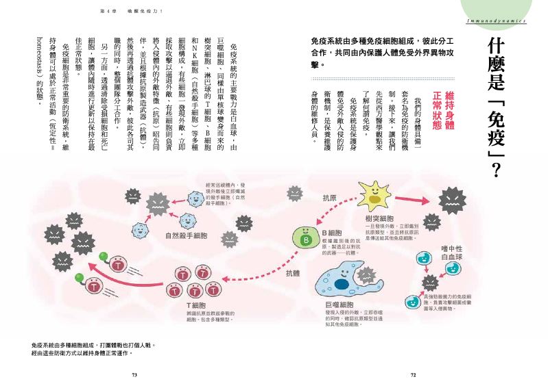 內頁 4