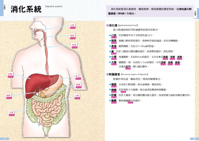 內頁 3