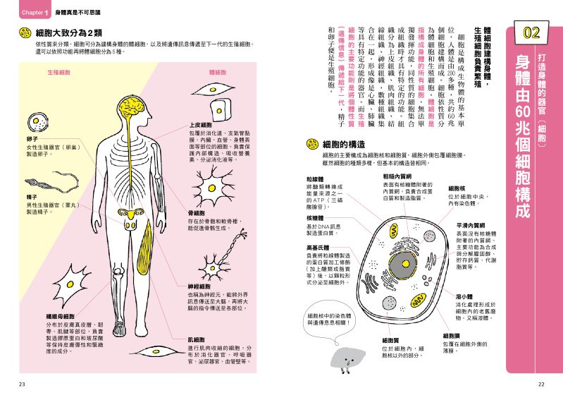 內頁 4