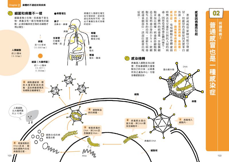 內頁 7