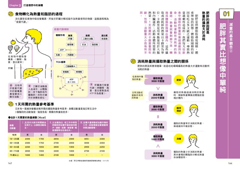 內頁 8