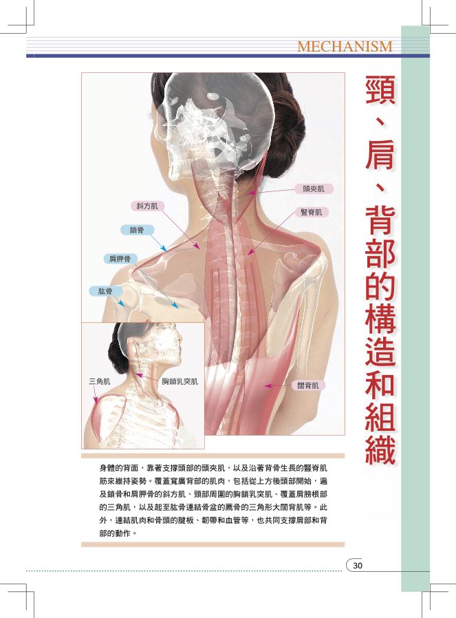內頁 2