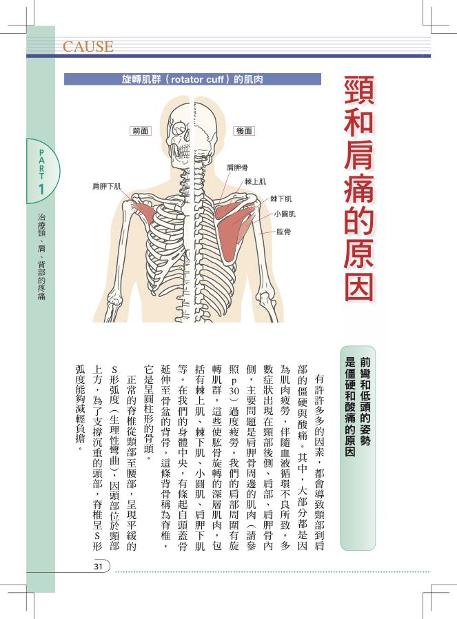 內頁 3