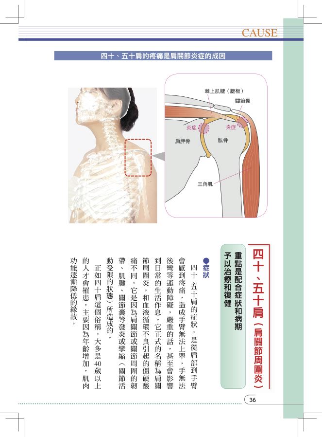 內頁 8