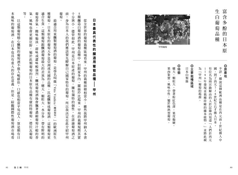 內頁 7