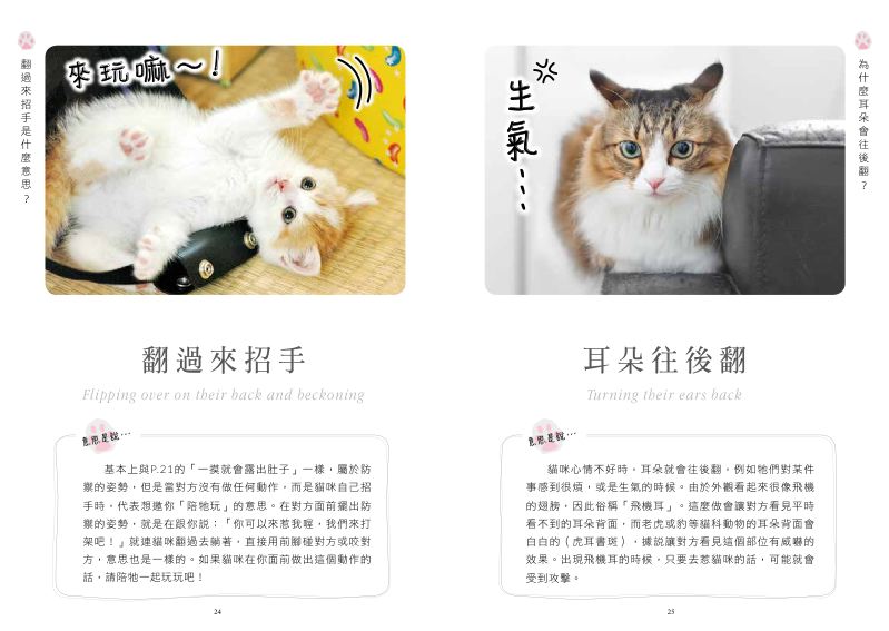 內頁 3