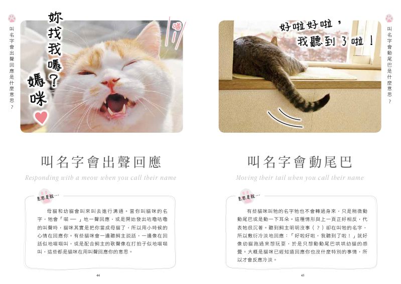 內頁 4