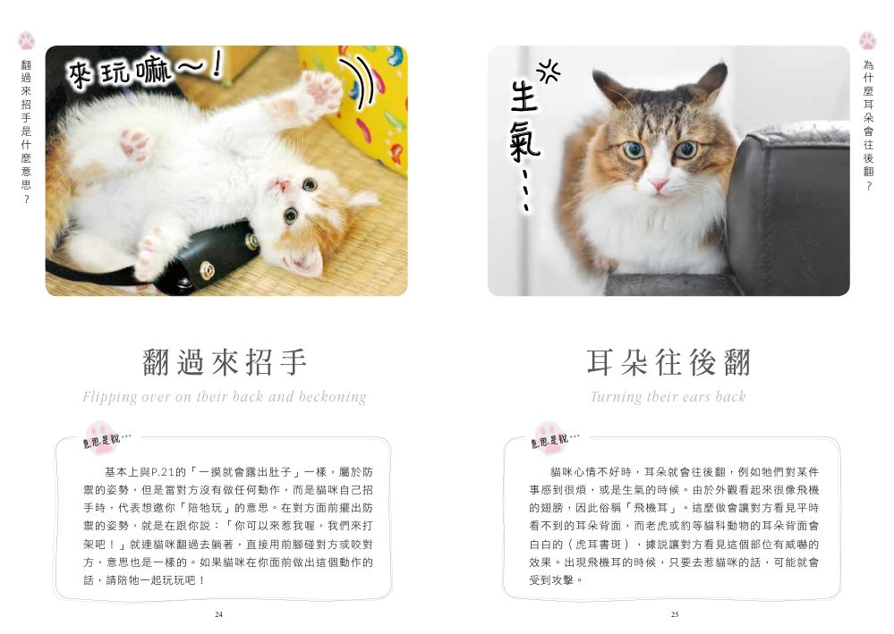 內頁 3