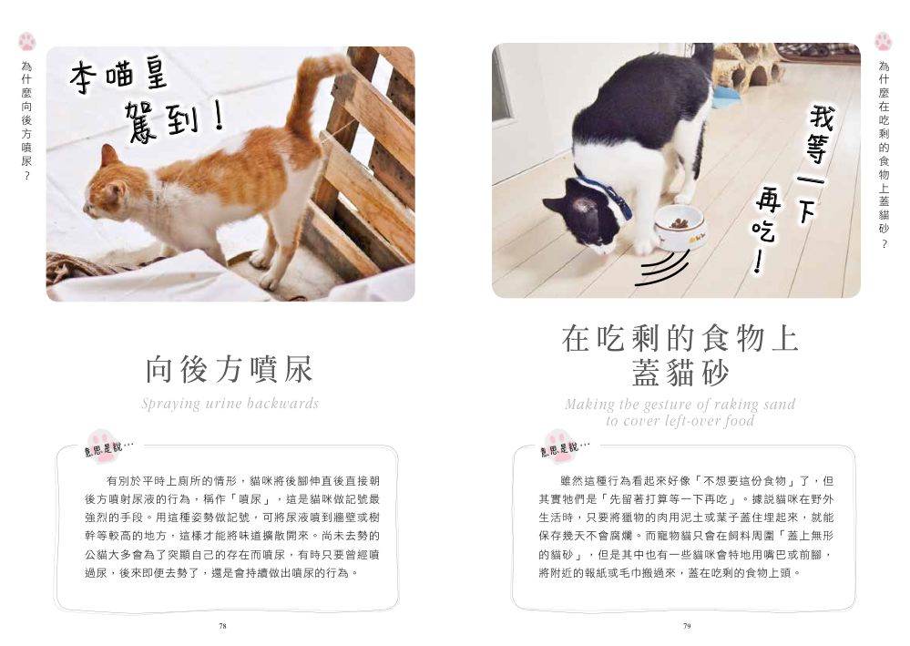 內頁 7