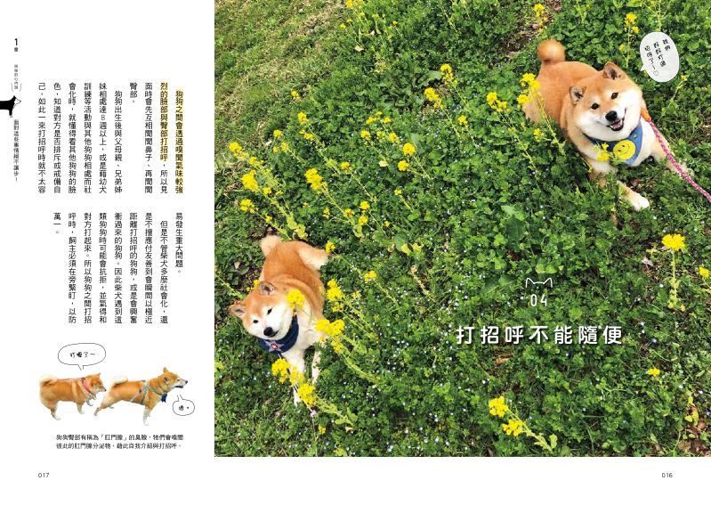 內頁 3