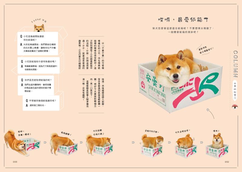 內頁 5