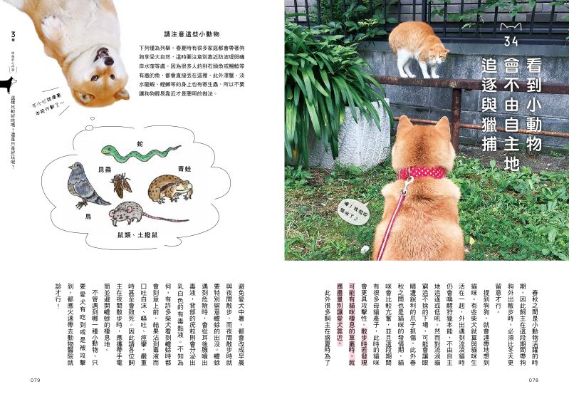 內頁 7