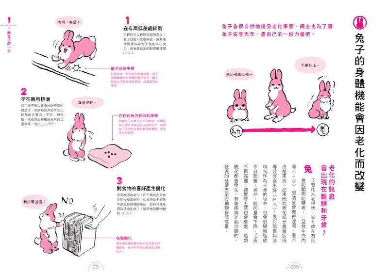 內頁 3