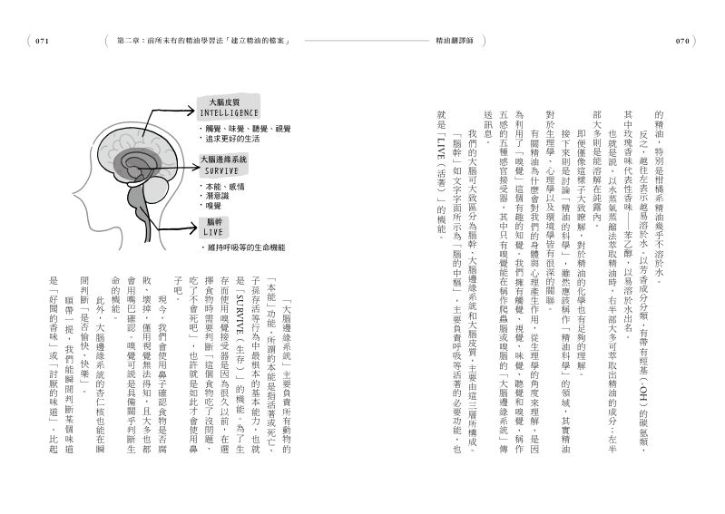 內頁 6