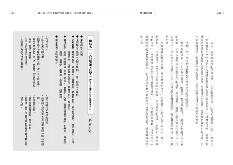 內頁 7