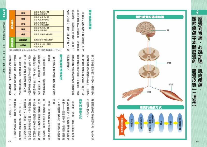 內頁 4