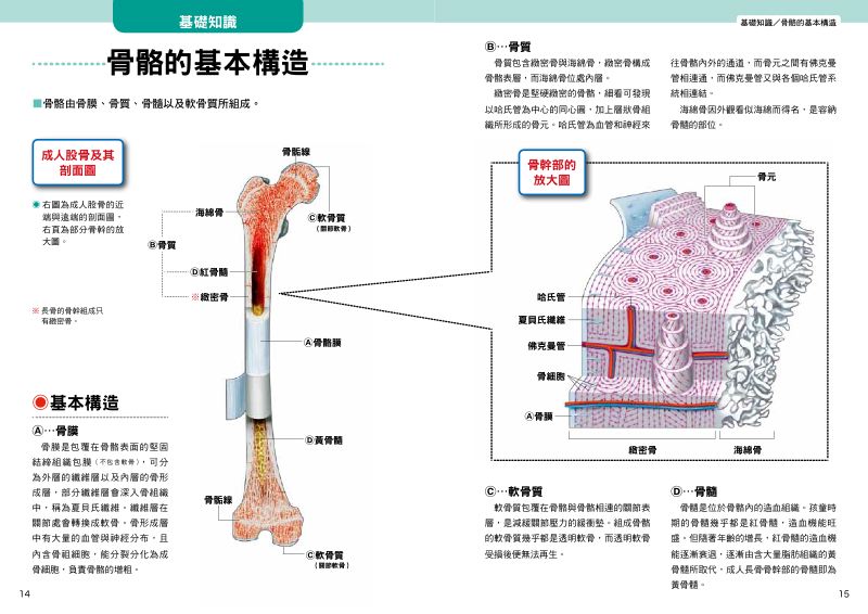內頁 4