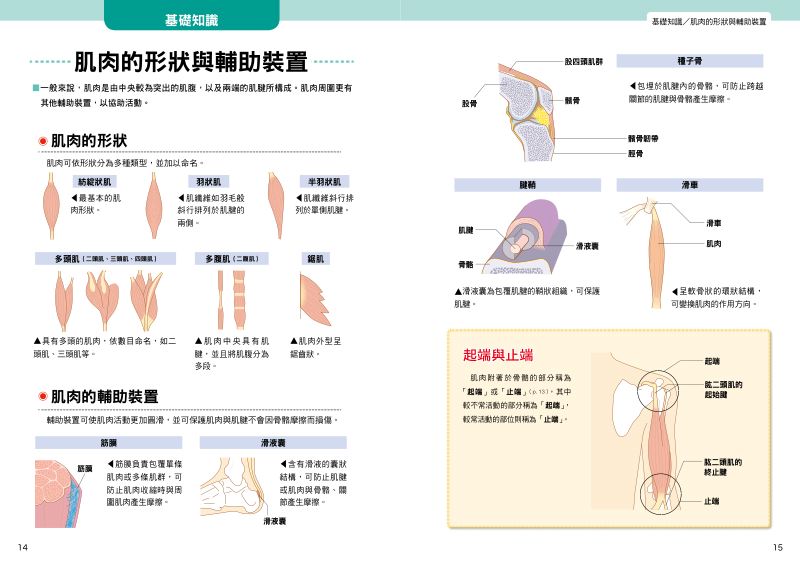 內頁 4