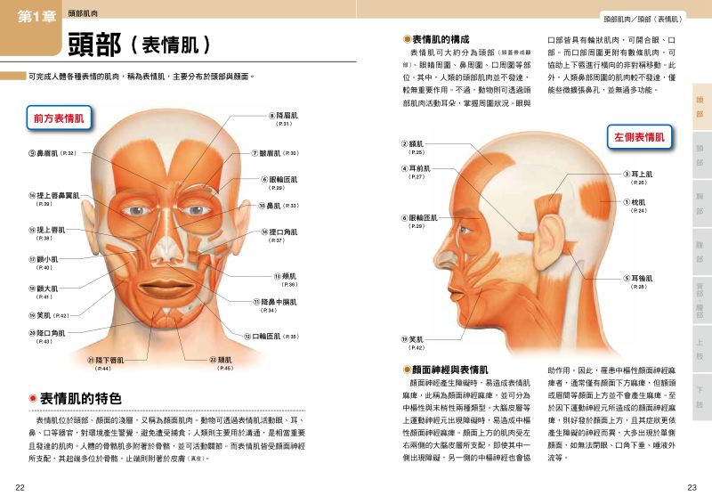 內頁 5