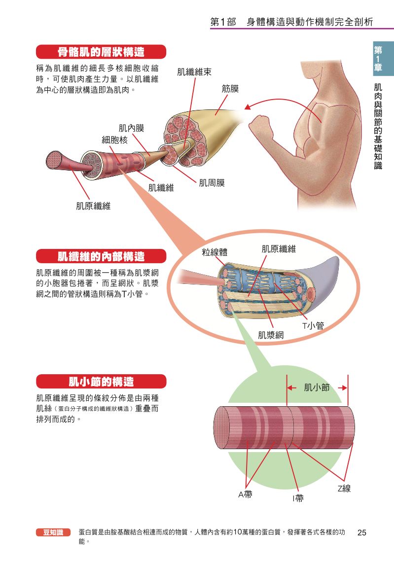 內頁 4