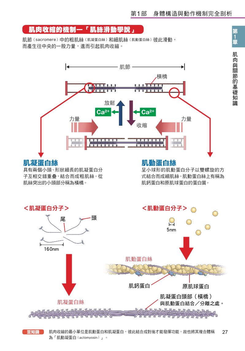 內頁 5
