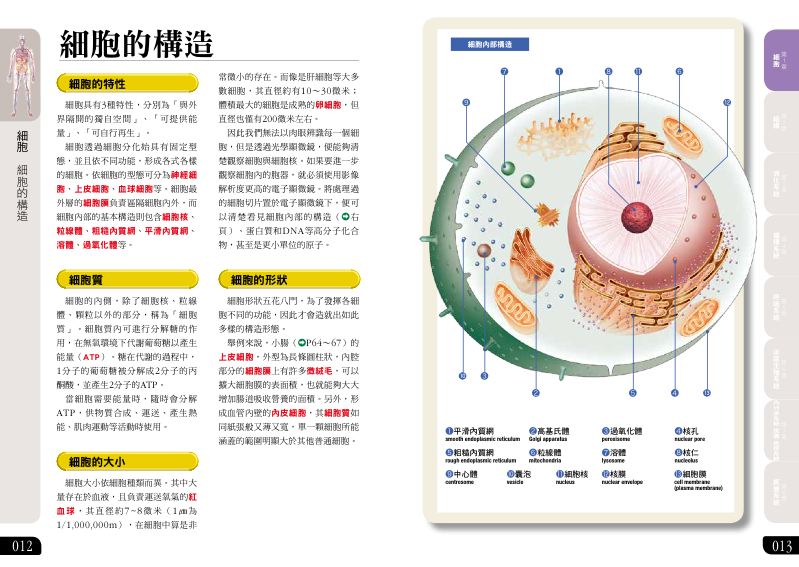 內頁 2