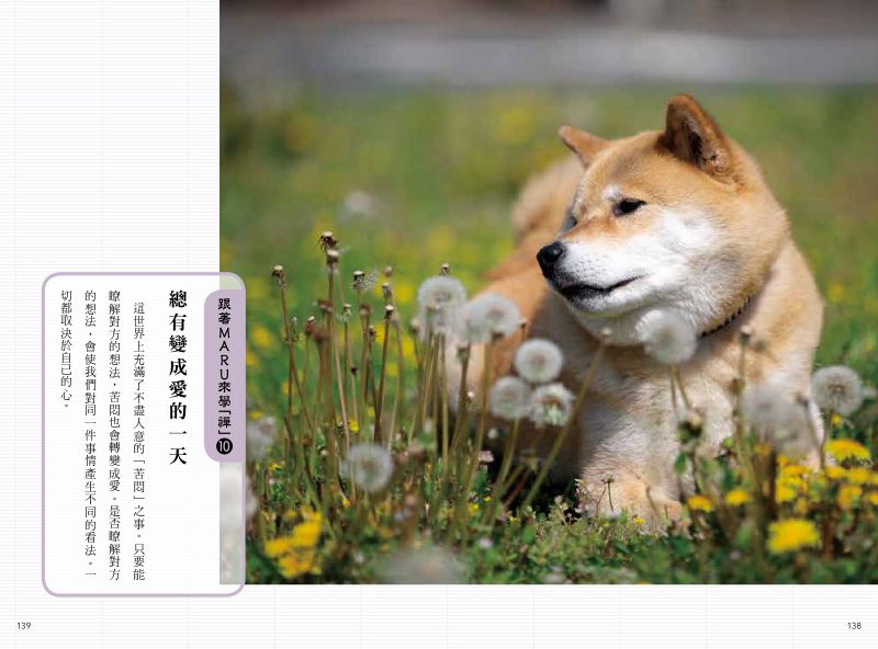 內頁 10