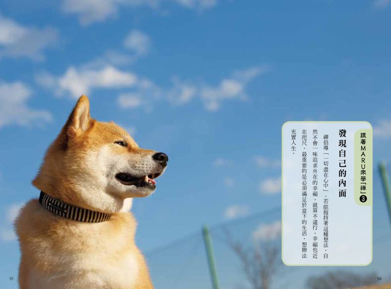 內頁 4