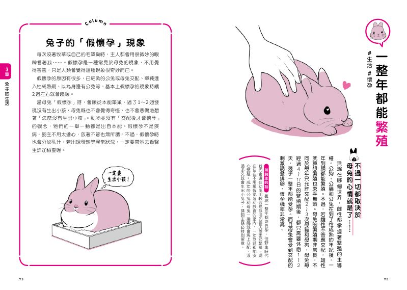 內頁 8