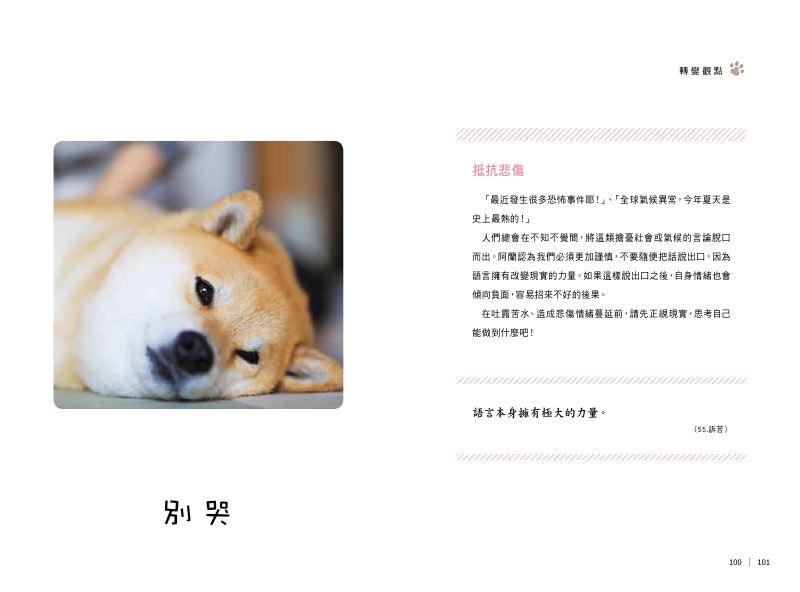 內頁 5