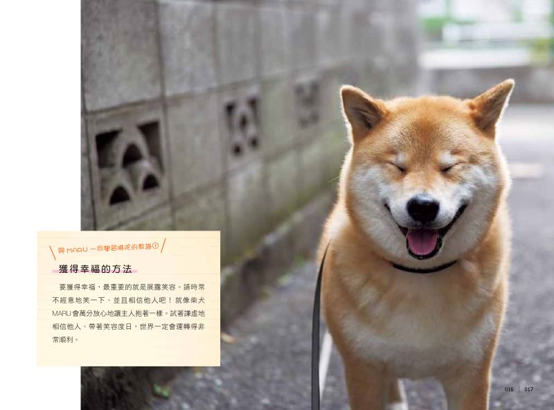 內頁 3