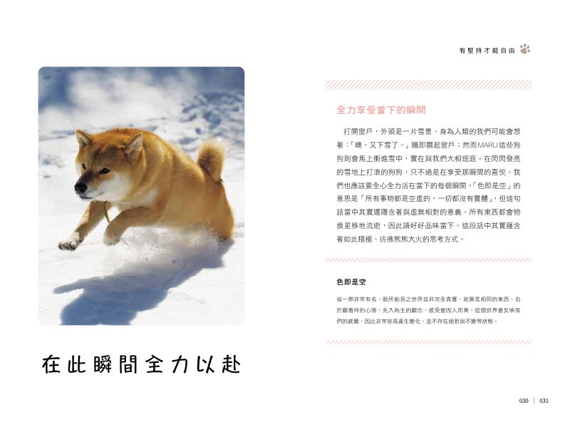 內頁 5