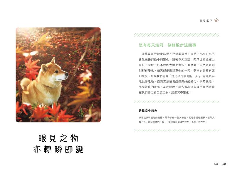 內頁 8