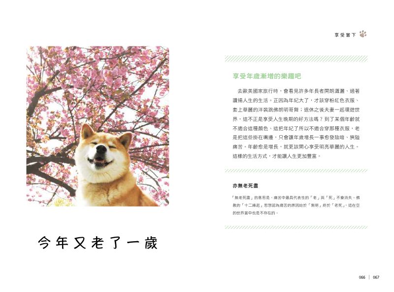 內頁 9