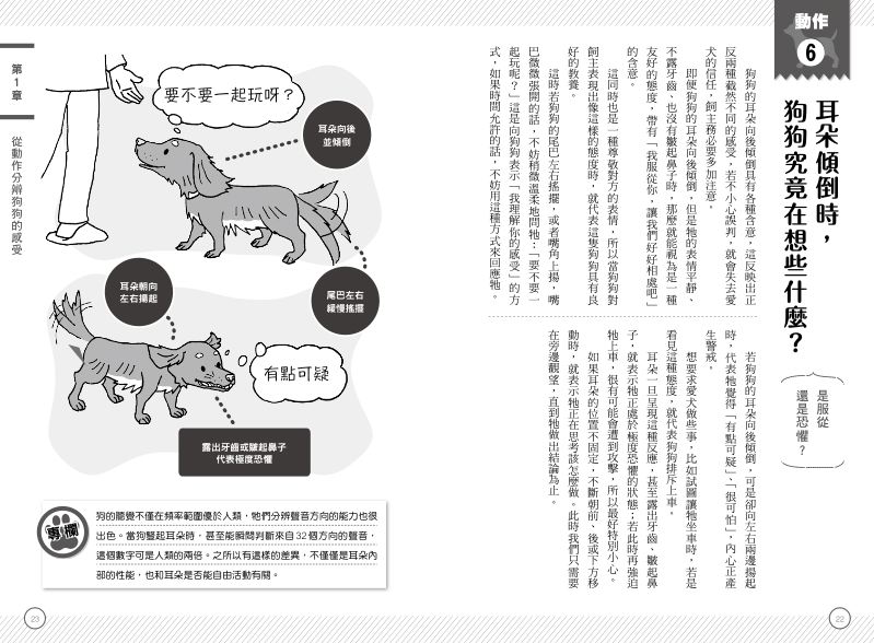 內頁 3