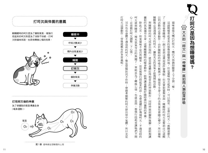 內頁 2