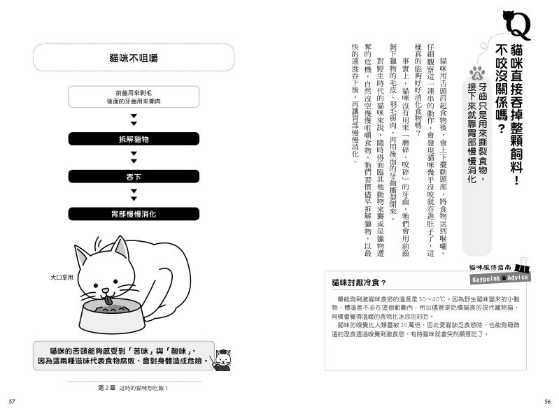 內頁 7