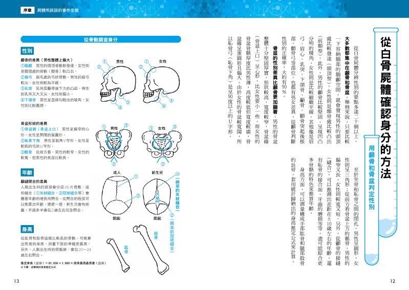 內頁 3
