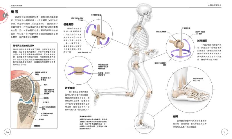 內頁 3