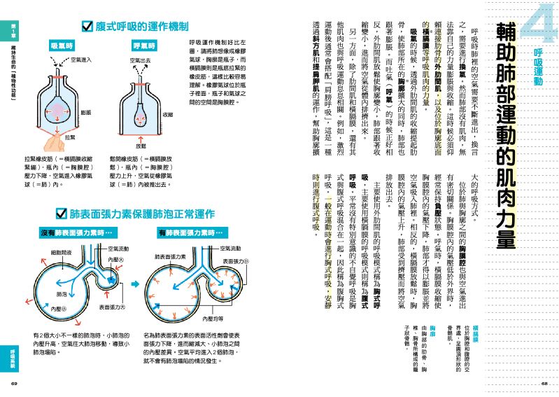 內頁 8