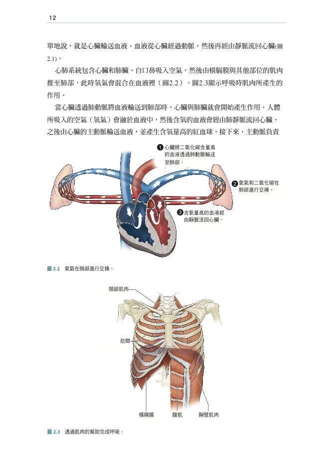 內頁 6
