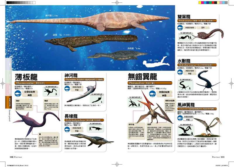 內頁 9