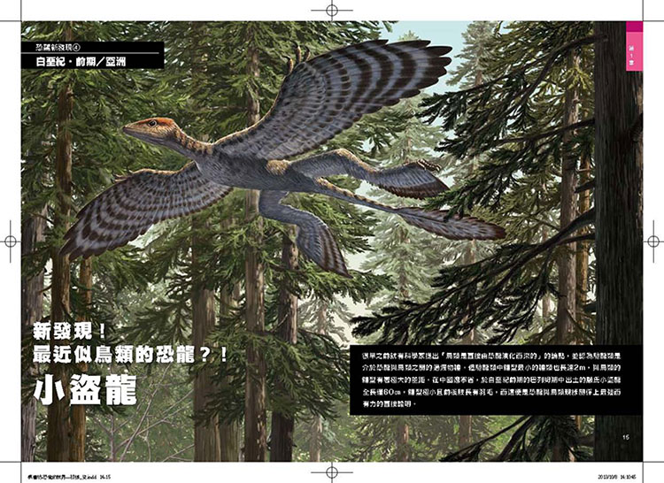 內頁 6