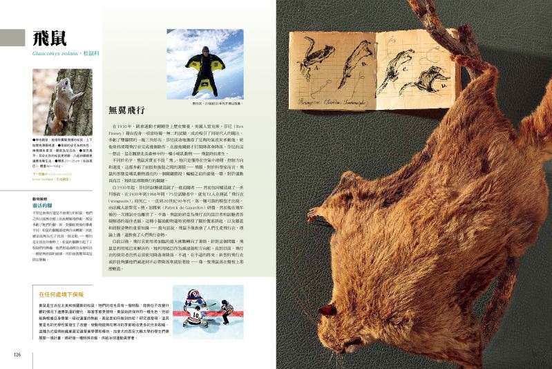 內頁 8
