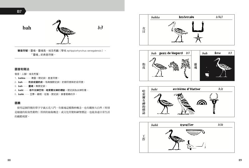內頁 6