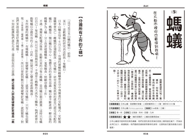 內頁 6